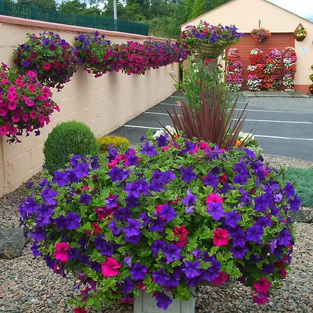 Bed & Breakfast Little Haven Dundalk